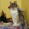 Отзыв от Серафима Астахова